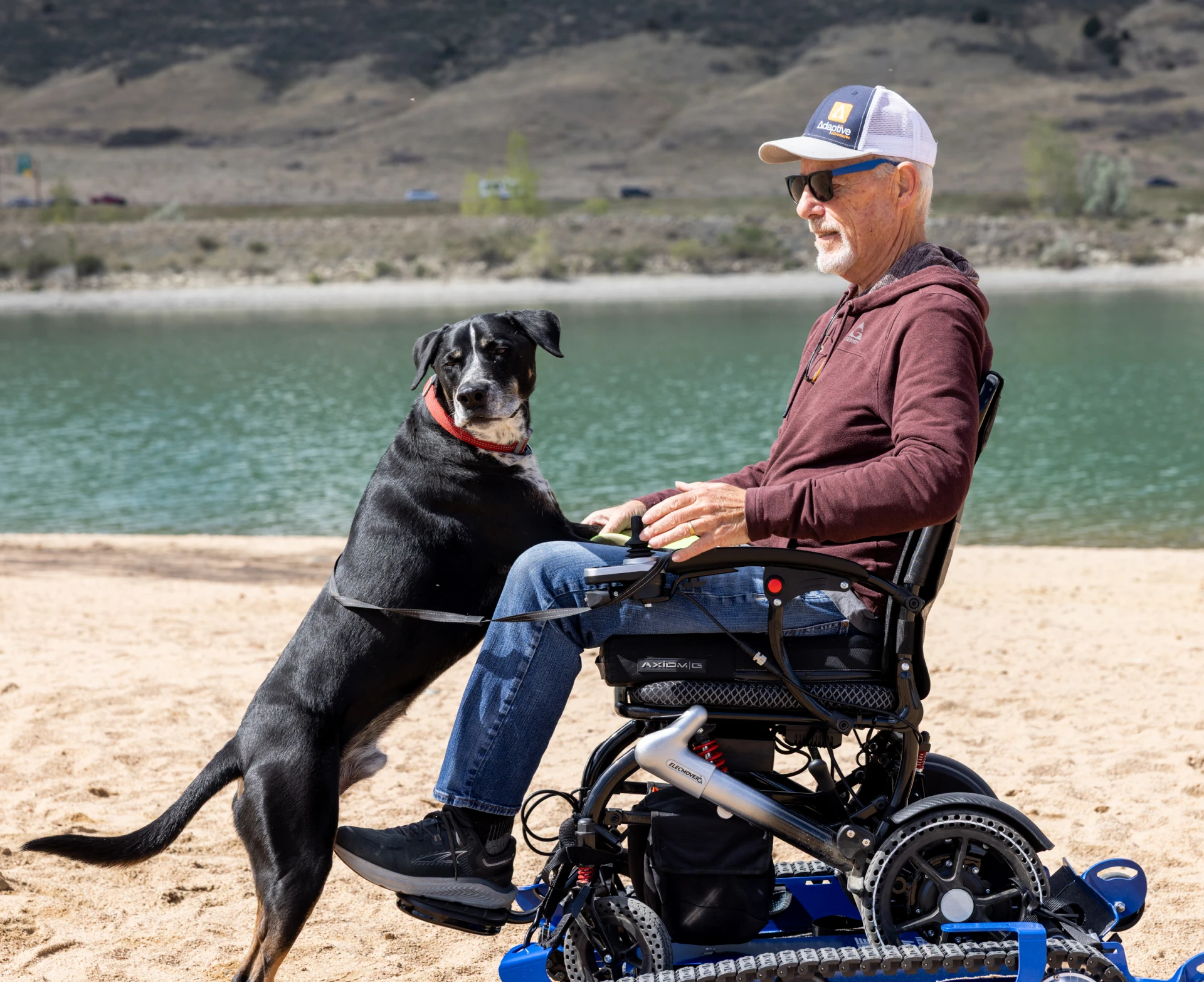 Elderly man with dog at beachside