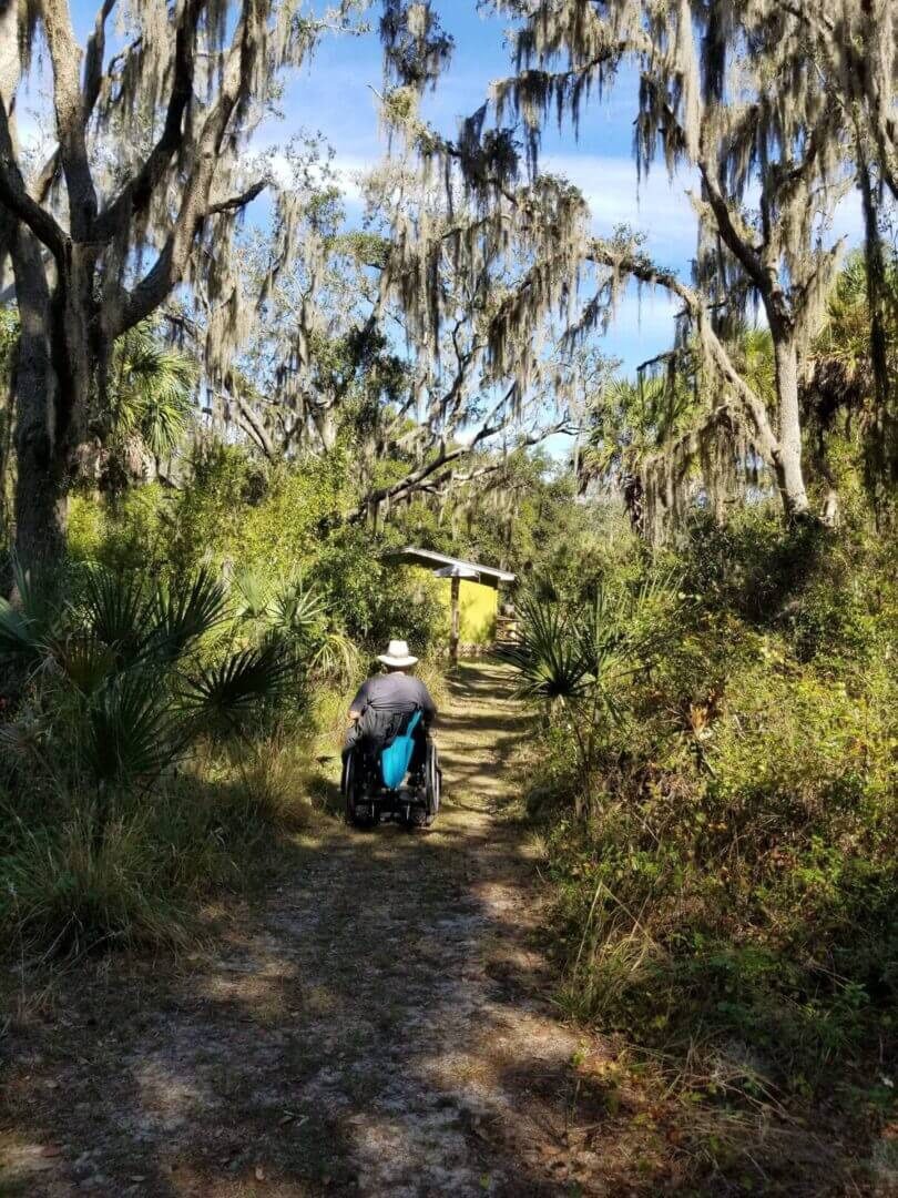 Person in wheelchair on forest trail